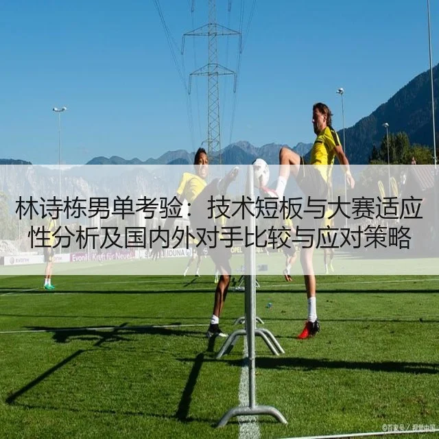 林诗栋男单考验：技术短板与大赛适应性分析及国内外对手比较与应对策略